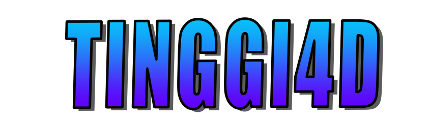 Tinggi4d Logo
